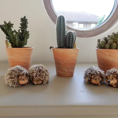 Hébergement de vacances Marie Oli Nieuport