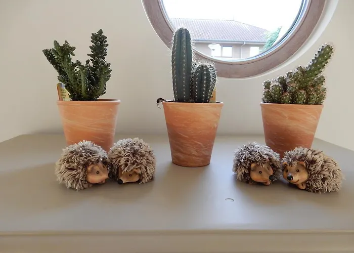 Prázdninový dům Marie Oli Nieuwpoort